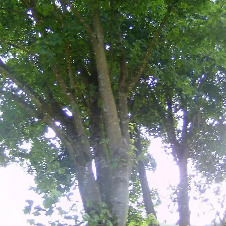 Appartement Kommerswag By Interhome *