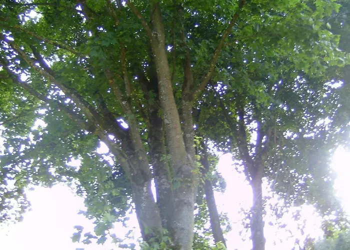 Apartamento Kommerswag By Interhome *